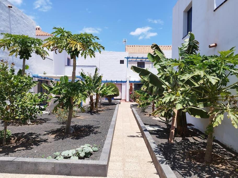 Casa Freesia Caleta Centre Avec Piscine Communautaire
